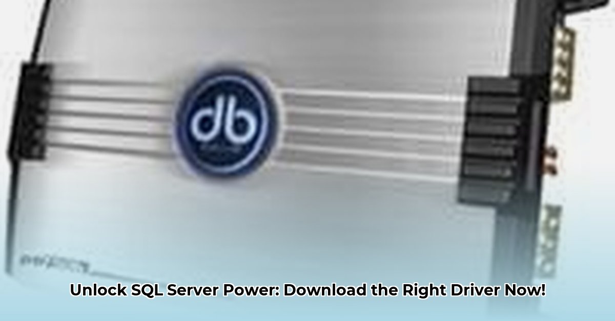 download-db-drive